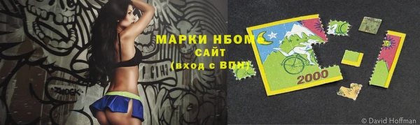 хмурый Алзамай