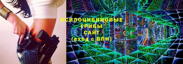 метадон Алексин