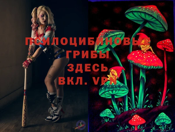 метадон Алексин