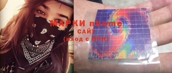 хмурый Алзамай