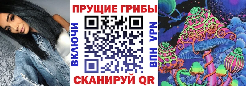 Галлюциногенные грибы мицелий  Краснознаменск 