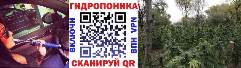 mega зеркало  цены наркотик  Краснознаменск  МАРИХУАНА марихуана 